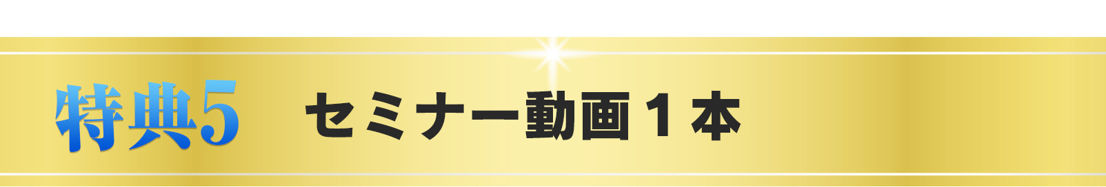 特典⑤セミナー動画１本